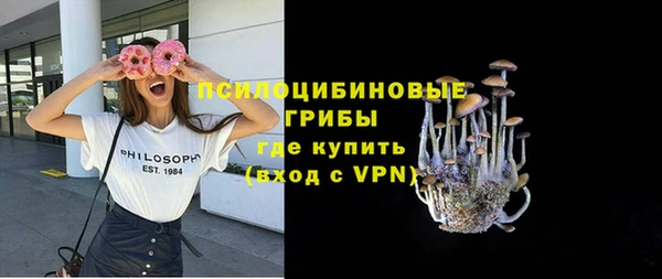 бошки Кулебаки