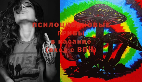 индика Нижневартовск