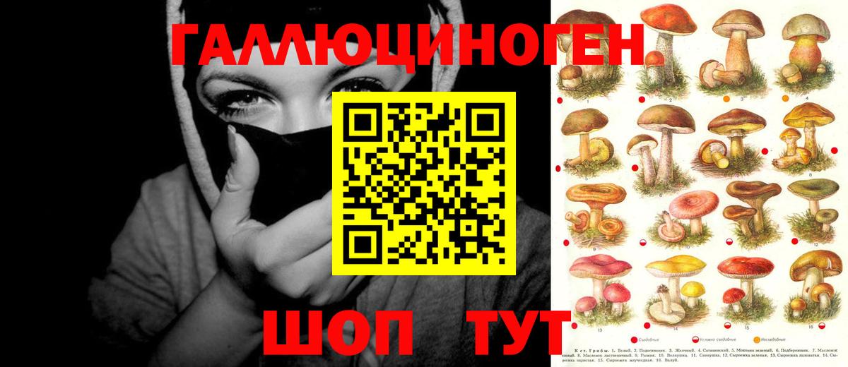 Галлюциногенные грибы мицелий Тула