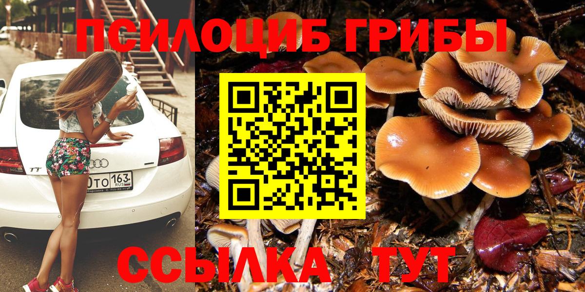 Галлюциногенные грибы ЛСД  Вход с VPN  Тула 