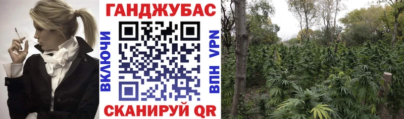 Каннабис MAZAR Тула